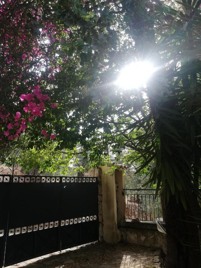 Olea Home Agia Pelagia Chlomou Esterno foto