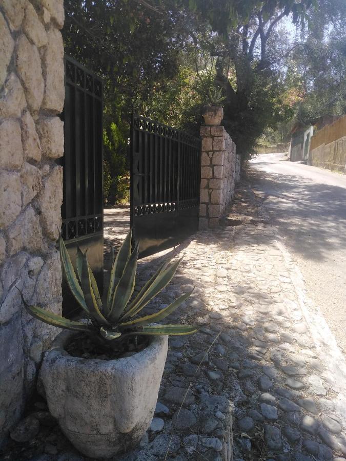 Olea Home Agia Pelagia Chlomou Esterno foto